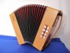 Castagnari Studio D-G button accordion